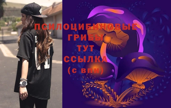 кокс Няндома